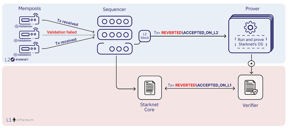 Flowchart of a Starknet transaction from submission through mempool validation, sequencer validation, execution and proof generation